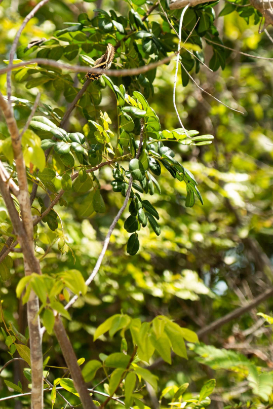 property-update24-2-cropped